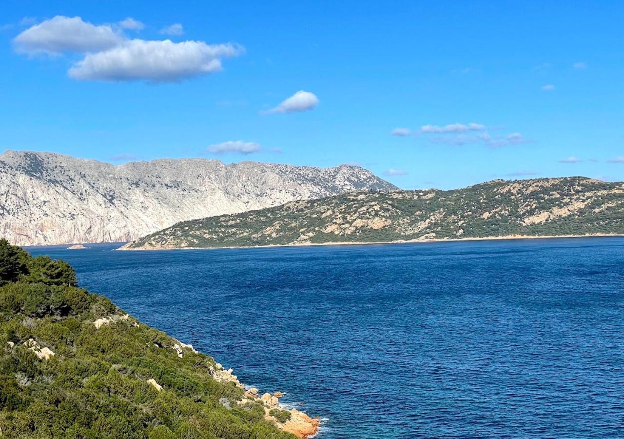 San Teodoro Punta Est Delizioso Monolocale Vista Mare Apartment Екстериор снимка