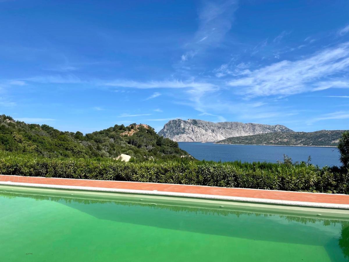 San Teodoro Punta Est Delizioso Monolocale Vista Mare Apartment Екстериор снимка