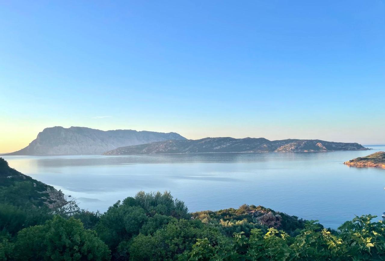 San Teodoro Punta Est Delizioso Monolocale Vista Mare Apartment Екстериор снимка