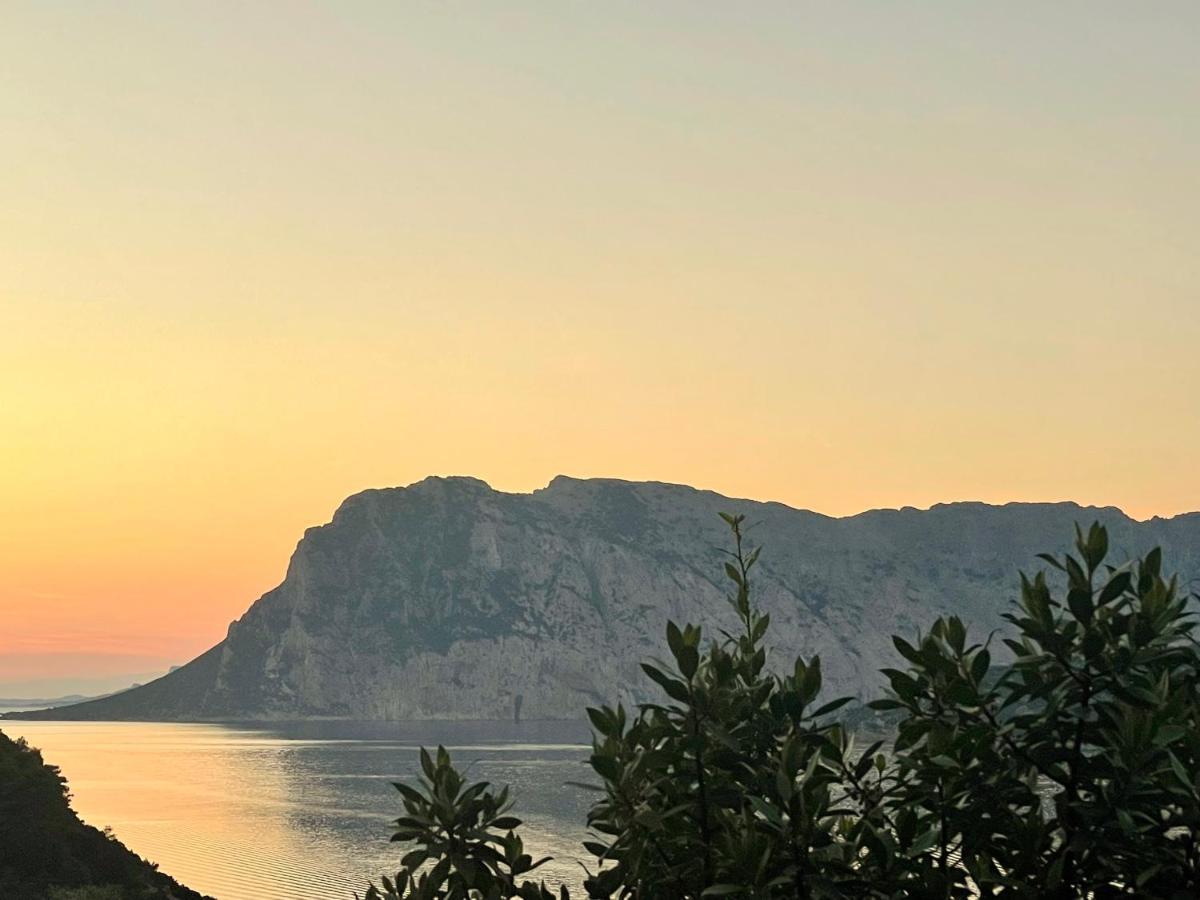 San Teodoro Punta Est Delizioso Monolocale Vista Mare Apartment Екстериор снимка
