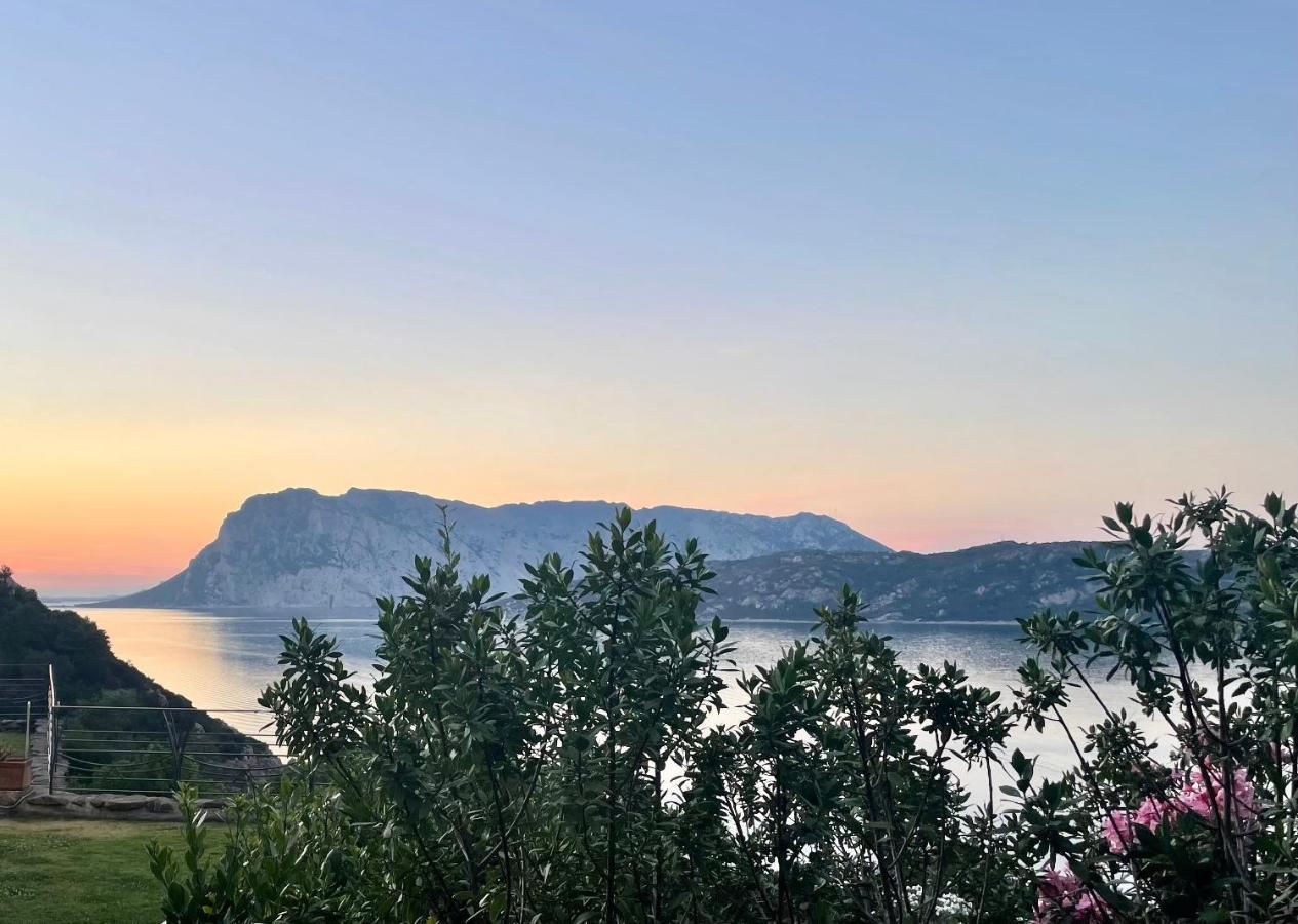 San Teodoro Punta Est Delizioso Monolocale Vista Mare Apartment Екстериор снимка