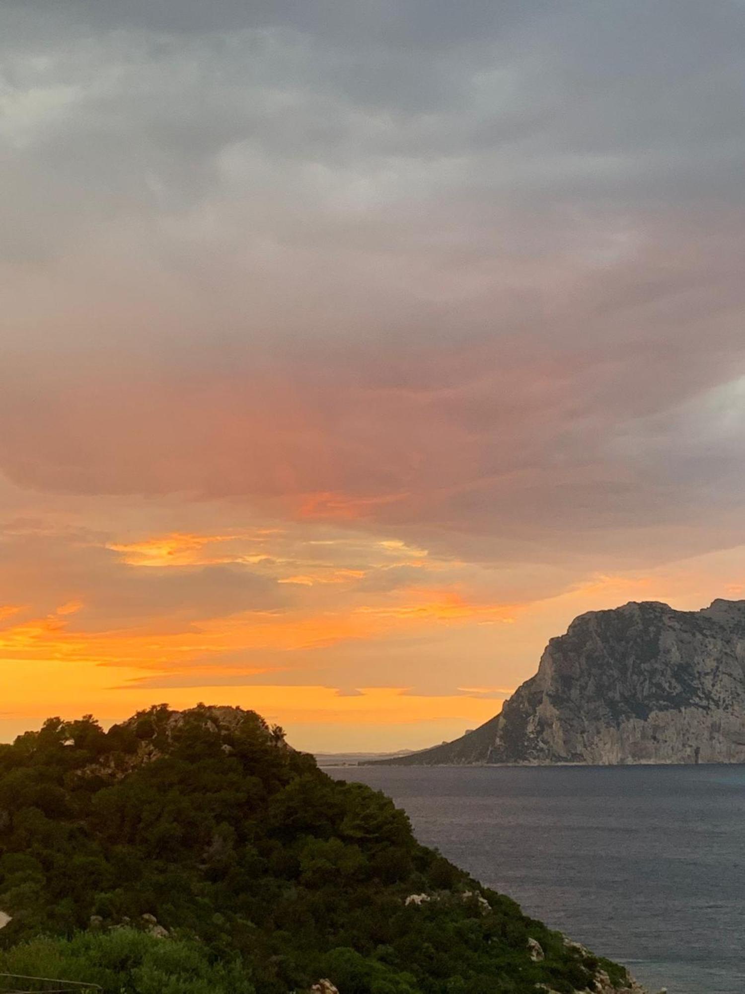 San Teodoro Punta Est Delizioso Monolocale Vista Mare Apartment Екстериор снимка